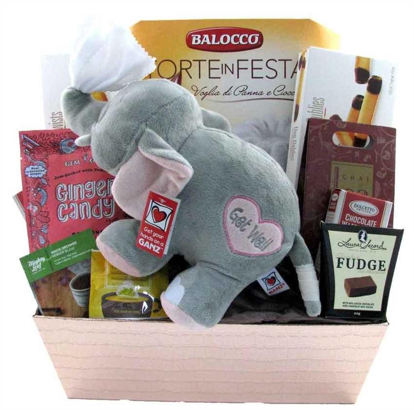 A Plush Get Well Basket